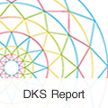 DKS Report