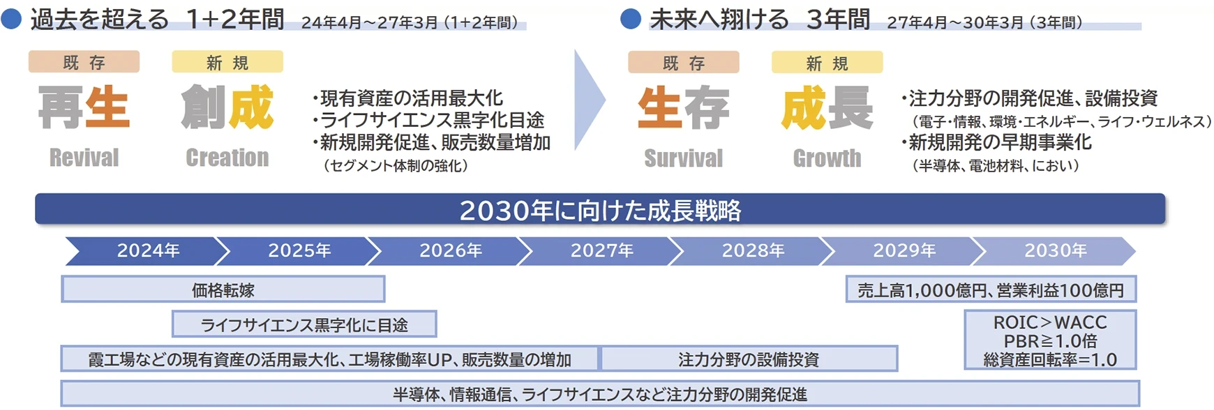 「2030年に向けた成長戦略」の内容